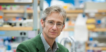 CFI Grant Awarded to Fabio Rossi
