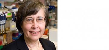 Connie Eaves awarded Dr. Chew Wei Memorial Prize in cancer research
